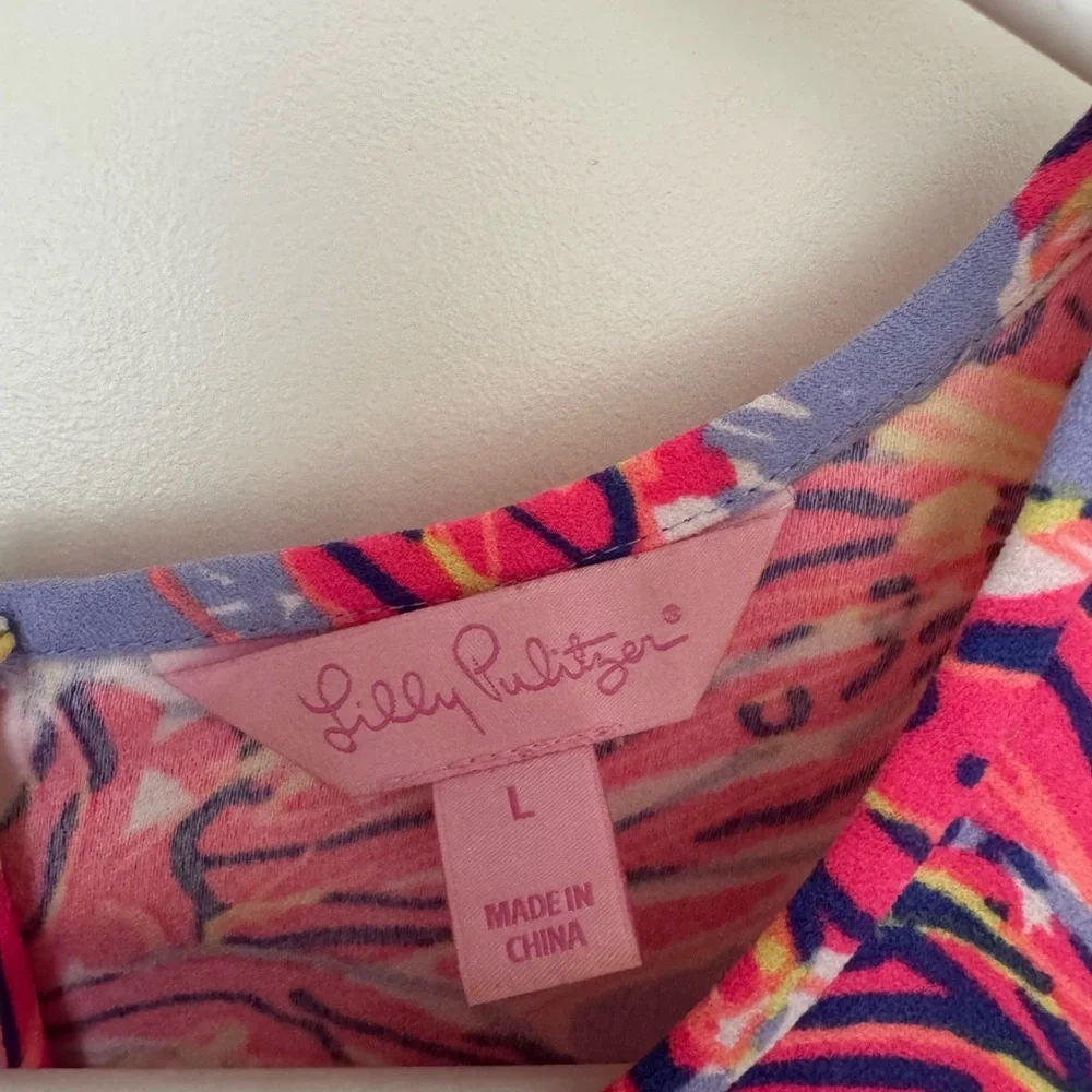 Lilly Pulitzer HTF & Holy Grail Molly Haynes Dress. SZ Large - Picture 4 of 7